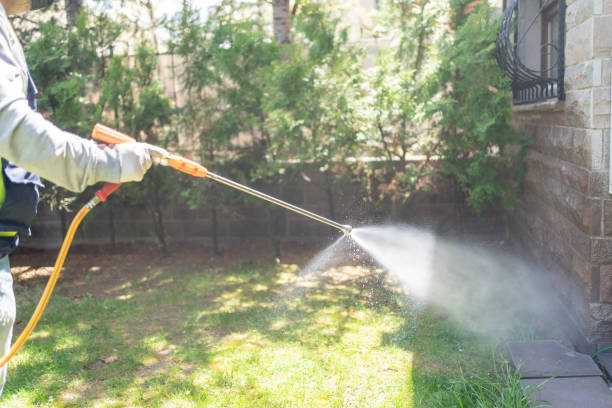 Lawn Pest Control in Rock Falls, IL